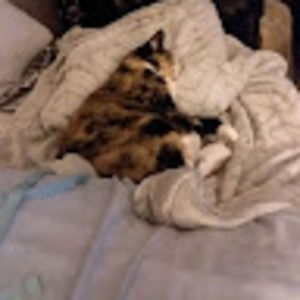 Meet your Posher, Dave